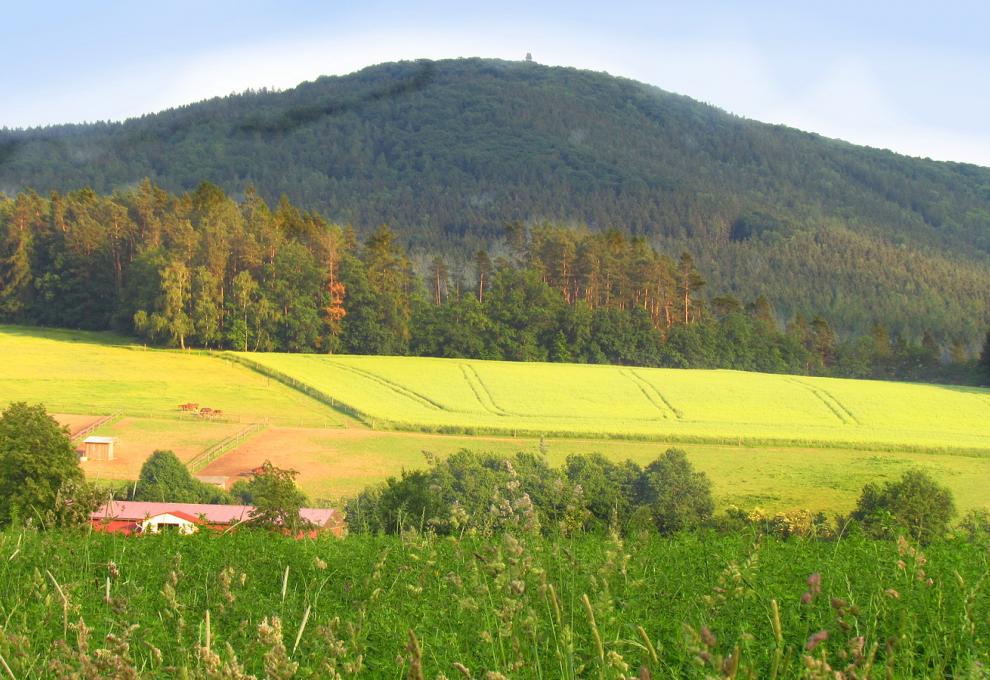 史麥塔納:聯篇交響詩《我的祖國》 - 第9張圖